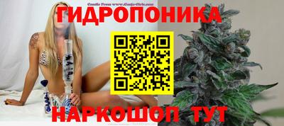 молекула духа Коммунар