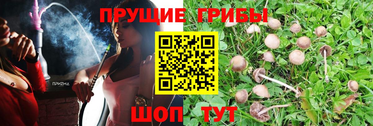 Галлюциногенные грибы прущие грибы Коркино