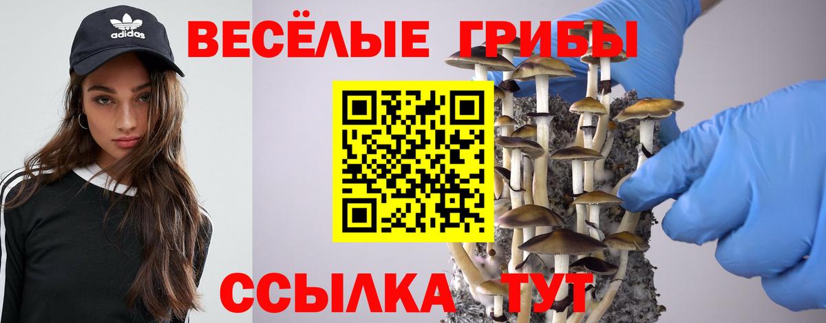 Псилоцибиновые грибы Psilocybe  Вход с VPN  Коркино 
